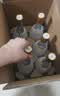 汾酒黄盖玻汾53度475mL*3瓶+红盖玻汾42度475mL*3瓶组合装 端午节囤货 实拍图