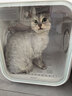 霍曼宠物烘干箱Pro 猫咪吹风机狗狗自动吹干箱底部出风快速烘干更安静 实拍图