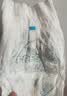 帮宝适极上之柔新袋鼠裤拉拉裤XL25夏季婴儿尿不湿 实拍图