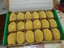 佳沛（zespri）新西兰阳光金奇异果18粒礼盒优选果单果103-124g 猕猴桃水果礼盒 实拍图