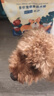 【爆品】冻干狗粮通用型成犬幼犬中小型泰迪比熊全阶段犬粮欧萨 10斤装【多拼版】果蔬森林营养 实拍图