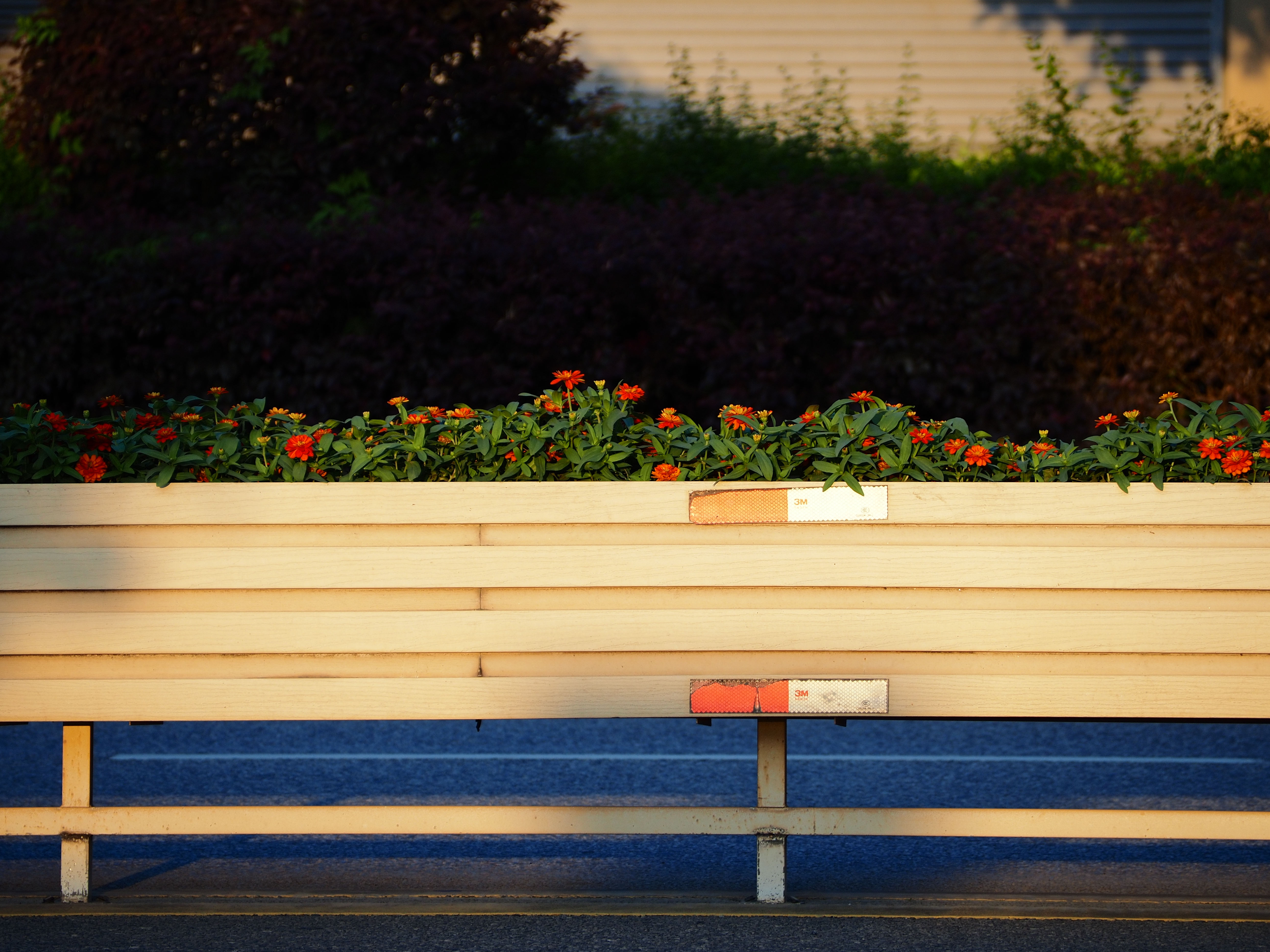 奥之心（OM SYSTEM）M.ZUIKO DIGITAL ED 40-150mm F4-5.6 R 远摄变焦镜头 微单镜头 银色 等效80-300mm 实拍图