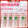 滴露（Dettol）香氛自然衣物消毒液1L*4  留香48H洗衣除汗臭 儿童玩具杀菌消毒水 实拍图