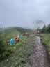 Naturehike挪客初雪EXT1登山杖碳纤维徒步手杖外锁伸缩碳素超轻户外爬山装备 实拍图