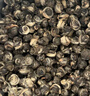 陈一凡茉莉花茶龙珠250g 浓香型新茶广西横县茉莉绣球窨制绿茶茶叶袋装 实拍图