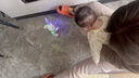 肯伦婴儿玩具0-1半一岁有声会动儿童早教8新生幼儿9宝宝6到12个月四五 充电版电动跳舞兔子20首歌曲 实拍图