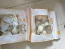 BOTH 羊奶布丁 猫零食 猫湿粮 猫奶酪 猫果冻 15g*15粒 实拍图