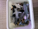 乐蓓富全套仿真海洋动物模型玩具鲨鱼鲸鱼海底世界生物六一儿童节礼物 实拍图