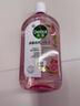 滴露（Dettol）衣物消毒液自然香氛洗衣除菌液 除螨除异味去汗臭48h留香1000ml*1 实拍图