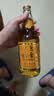 崂特啤酒纯酿金啤酒500ml*12瓶装精酿崂特原浆啤酒纯正崂山水酿造产地直发 500mL 12瓶 500ml*12瓶（1箱） 实拍图