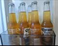 科罗娜（CORONA）特级啤酒330ml*24瓶啤酒整箱装经典拉格京东自营618热卖 实拍图