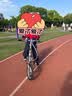 大行（DAHON） 412折叠自行车14英寸单速超轻迷你铝合金学生成人单车BYA412 银色 实拍图