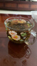 陈一凡茉莉花茶龙珠250g 浓香型新茶广西横县茉莉绣球窨制绿茶茶叶袋装 实拍图