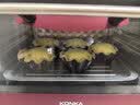 康佳（KONKA）电烤箱家用一机多能迷你小烤箱风炉 12L容量小型电烤炉 KAO-1208(DS) 实拍图