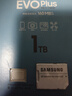 三星（SAMSUNG）1TB TF(MicroSD)存储卡 EVO白卡 U3A2V30 运动相机无人机内存卡 支持4K视频读160MB/s 写速120MB/s 实拍图