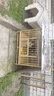 铂呐苓狗笼子大型中型犬室内围栏带厕所一体猫窝金毛边牧宠物狗屋 【六面管加粗15mm】110*72*95cm 实拍图
