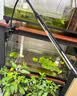 迈睿星全光谱led植物生长灯仿太阳光多肉花卉室内家用植物补光灯 1头/循环定时/usb接口 实拍图