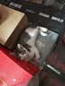 美滋元成猫猫粮 三文鱼味成猫粮全猫咪通用天然粮全价猫粮 三文鱼 成猫粮5kg 实拍图