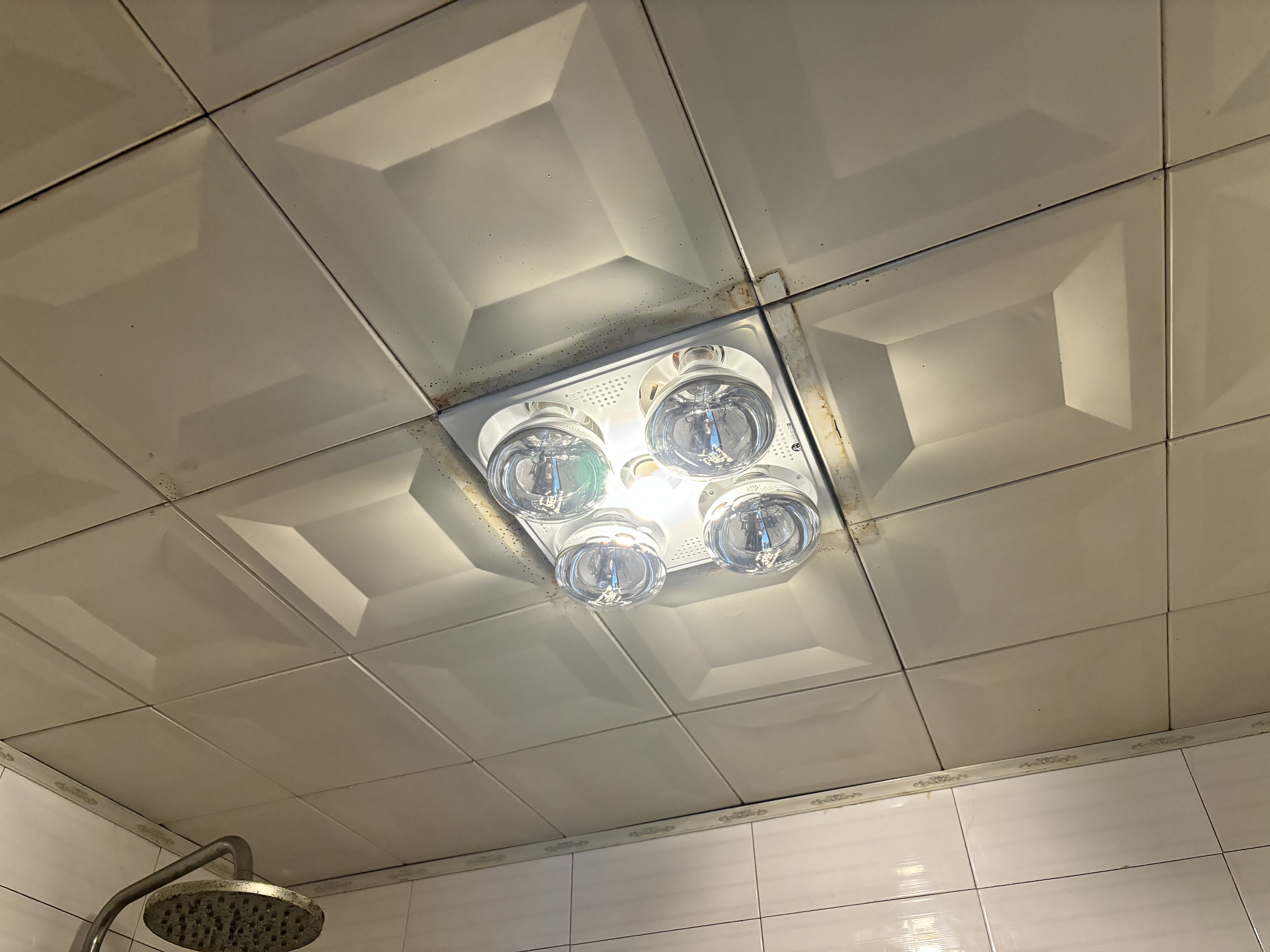 飞雕（FEIDIAO）灯暖浴霸集吊系列两档取暖照明换气FD/DHZ305-05W 实拍图