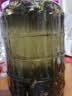 康之伴泡酒瓶玻璃瓶带龙头泡酒容器专用药酒泡菜坛子密封空瓶加厚储物罐 10斤加厚【带龙头】 实拍图