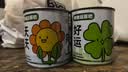 Touch Fish 罐装小盆栽桌面种植易拉罐头植物小学生科学实验礼物奖品 向阳而生（向日葵） 实拍图