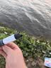 不锈钢钓鱼支架羊角头炮台支撑架杆多功能鱼竿支架地插台钓架杆 2.4m 带地插蓝色加粗款 实拍图