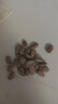 憨豆熊 瓜蒌子500g/罐 炒货休闲零食大颗粒瓜子罐装 实拍图
