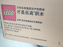 乐高（LEGO）积木 21323钢琴收藏级音乐主题模型 生日礼物【D2C限定款】 21323 钢琴 实拍图