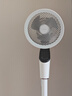 艾美特（AIRMATE）【天鹅MAX】空气循环扇直流变频家用大风力电风扇卧室轻音一级能效负离子净化语音落地扇 SRDI151 实拍图