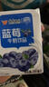 风行牛奶五指毛桃牛奶调制乳200ml*1盒试饮装 岭南植萃广东老字号 实拍图