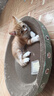 疯狂的主人 猫抓板窝特大号猫玩具猫爪板猫抓盆不掉屑猫窝碗形圆形瓦楞纸 实拍图