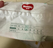 好奇（Huggies）好奇小森林纸尿裤S28片(4-8kg)尿不湿心钻【低敏天花板】 实拍图