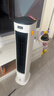 美的（Midea）【直流变频】家用静音空调扇 智能语音冷风扇 负离子落地冷风机水冷塔扇 强力制冷双向送风ADJ10SC 实拍图