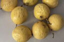 京鲜生广西钦蜜9号黄金百香果 20粒装/单果60-70g 应季水果  源头直发 实拍图