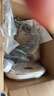 小熊（Bear）【价保618】养生壶煮茶壶煮茶器 多功能保温一体烧水壶恒温水壶 316L母婴级煮水壶 1.5L YSH-E15M1 实拍图