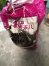 狼孩儿幼猫成猫猫粮深海鱼三文鱼全猫期布偶蓝猫英短猫咪全价粮 三文鱼猫粮5kg(10斤) 实拍图