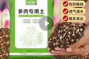 花大师 多肉营养土专用颗粒土多肉土壤盆栽种植土幼苗成苗老桩透气土 高配版多肉土10斤 不含进口石料 实拍图