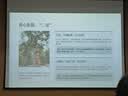 官方正版】小熊宝宝绘本系列第一二辑全套自选 佐佐木洋子 幼儿童绘本0-3岁行为习惯教养绘本启蒙早教书蒲蒲兰绘本馆系列 新华正版 小熊宝宝绘本第一辑全套15册 实拍图