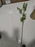 爱已装糖仿真绿植假花摆花花瓶插花diy花束塑料花客厅摆件装饰花叮叮果1束 实拍图