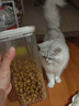 玫斯（metz）猫粮无谷天然猫粮成猫幼猫全阶段鲜肉孕猫全价奶糕猫粮 玫斯无谷鲜肉全猫粮10KG 实拍图