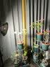 精忠报国植物补光灯大棚蔬菜花卉led室内绿植专用仿太阳全光谱园林生长灯 【仿太阳全光谱补光灯】白-30W 配3米灯头线 实拍图