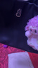 半坡饰族（bampo）【明星同款】女包包新款福瑞方方包头层牛皮大容量轻奢单肩斜挎包 墨碳黑-大包 可装14寸电脑 实拍图