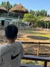 NIKE3BRAND 耐克儿童套装男童短袖T恤短裤五分裤两件套运动夏装 实拍图