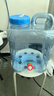 拜杰纯净水桶 食品级PC户外水桶 饮水储水桶矿泉水桶手提式桶装水户外水桶 带龙头15L 实拍图