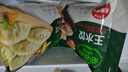 必品阁（bibigo）白菜猪肉王水饺1800g 约72只 早餐半成品夜宵速冻饺子京东独家 实拍图