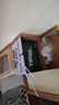 天章 （TANGO）新绿天章A4打印纸 70g 500张*5包【豪华品质】双面打印复印纸 纸张洁白顺滑不卡纸 整箱2500张 实拍图