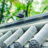 绿联3.5mm音频延长线 公对母耳机连接线带麦克风 平板笔记本台式电脑车载AUX音响音箱加长线 3米60635 实拍图