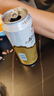 燕京啤酒 12度原浆白啤 500mL 12罐 整箱 德式白啤浓郁麦香泡沫绵密 实拍图