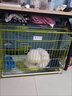 宠乐乖（CHONGLEGUAI）狗笼猫笼狗笼子中小型犬带厕所幼犬折叠便携猫笼子猫咪兔笼700ZG 实拍图
