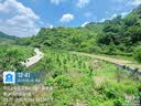 贝亲（Pigeon）桃叶儿童夏季冰感面霜长效保湿滋润清凉舒缓晒后修复50g 实拍图